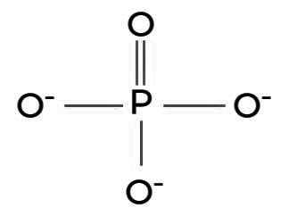 Phosphate-intactone.com